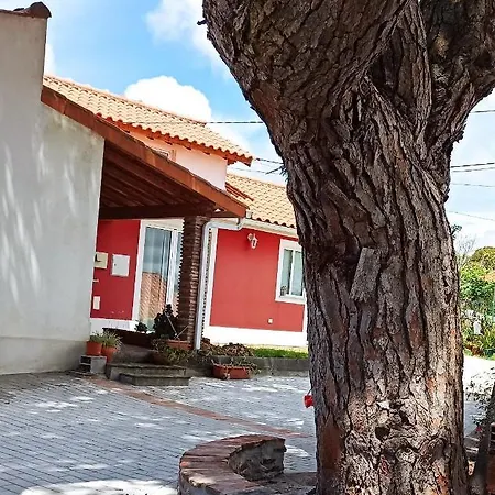 Vakantiehuis A 5 Minutos Da Atouguia Da Baleia